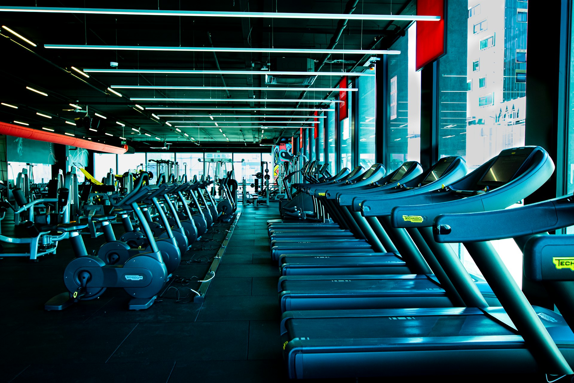 a row of exercise machines in a gym
